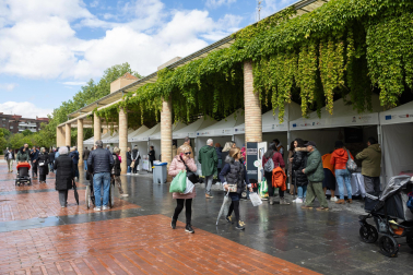 Imágenes de las Fiestas de la Verdura en Tudela