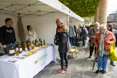 Imágenes de las Fiestas de la Verdura en Tudela