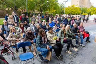 Imágenes de las Fiestas de la Verdura en Tudela