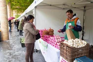 Imágenes de las Fiestas de la Verdura en Tudela
