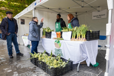 Imágenes de las Fiestas de la Verdura en Tudela