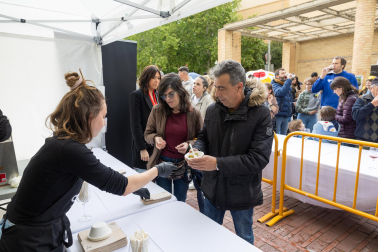 Imágenes de las Fiestas de la Verdura en Tudela