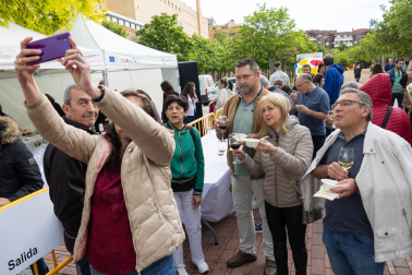 Imágenes de las Fiestas de la Verdura en Tudela