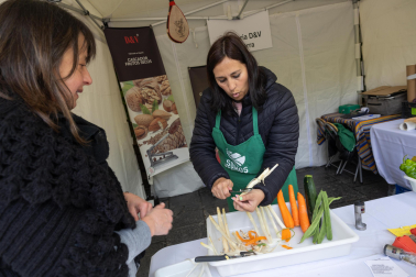 Imágenes de las Fiestas de la Verdura en Tudela