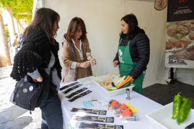 Imágenes de las Fiestas de la Verdura en Tudela