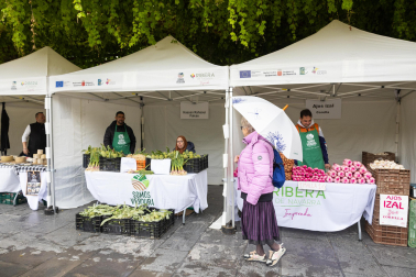 Imágenes de las Fiestas de la Verdura en Tudela