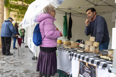 Imágenes de las Fiestas de la Verdura en Tudela