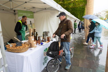 Imágenes de las Fiestas de la Verdura en Tudela