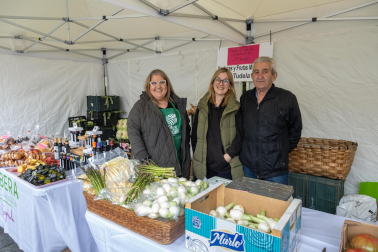 Imágenes de las Fiestas de la Verdura en Tudela