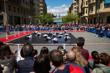 Celebración del Día de la Danza en Carlos III