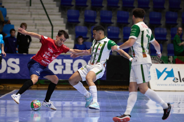 Fotos de la victoria del Osasuna Magna frente al Córdoba. /