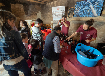 Imágenes de la Feria del Espárrago de Navarra en Dicastillo.