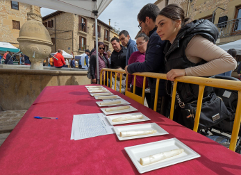 Imágenes de la Feria del Espárrago de Navarra en Dicastillo.