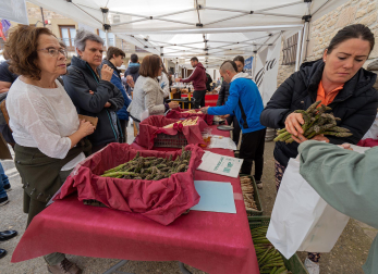 Imágenes de la Feria del Espárrago de Navarra en Dicastillo.