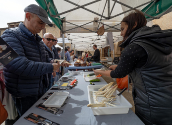Imágenes de la Feria del Espárrago de Navarra en Dicastillo.