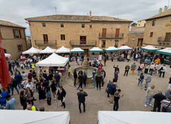 Imágenes de la Feria del Espárrago de Navarra en Dicastillo.