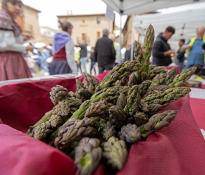 Imágenes de la Feria del Espárrago de Navarra en Dicastillo.