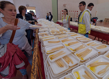 Imágenes de la Feria del Espárrago de Navarra en Dicastillo.