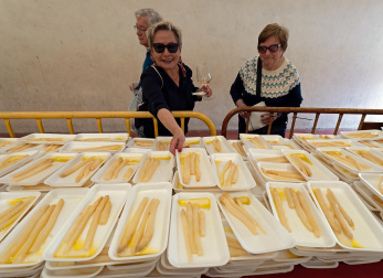 Imágenes de la Feria del Espárrago de Navarra en Dicastillo.