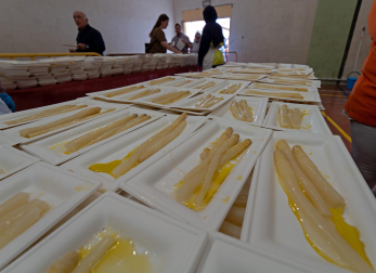 Imágenes de la Feria del Espárrago de Navarra en Dicastillo.