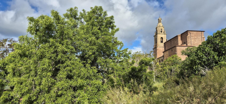 Iglesia de Santa María en Piedramillera.