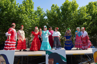 Imágenes de las XIV Jornadas Interculturales del Centro Lasa del Barrio de Lourdes