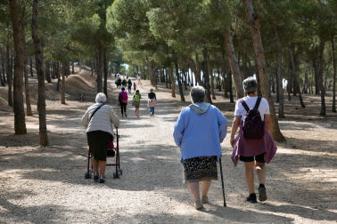 Romería a la ermita de Santa Quiteria.