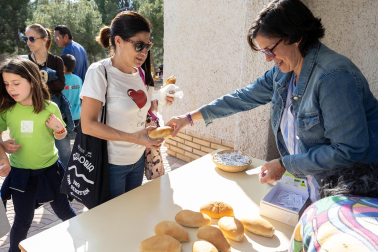 Romería a la ermita de Santa Quiteria.