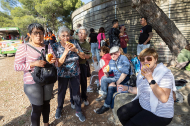 Romería a la ermita de Santa Quiteria.