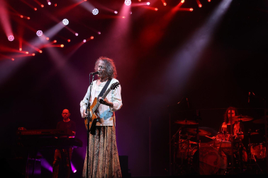 Concierto de Robe en el Navarra Arena.