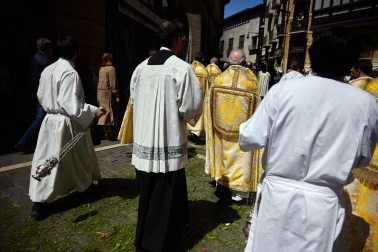 Fotos de la procesión del Corpus Christi en Pamplona. |