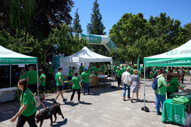 Fotos de la X Marcha contra el Cáncer en Pamplona.