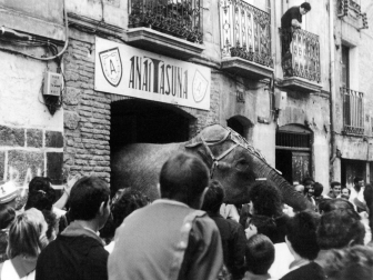 El elefante que Fernando Lizaur metió en la peña Anaitasuna.