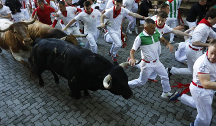 Uno de los toros de La Palmosilla enfila el callejón de la plaza de toros