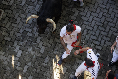 Los mozos conducen a los toros de La Palmosilla a la plaza en el tramo del callejón