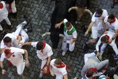 Los mozos conducen a los toros de La Palmosilla a la plaza en el tramo del callejón