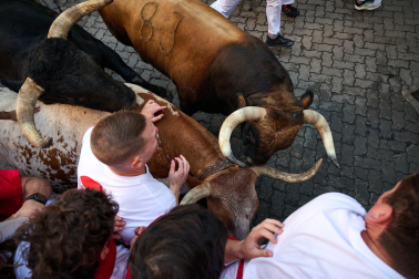 Los toros de La Palmosilla enfilan la Curva de Telefónica