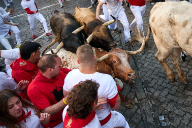 Los toros de La Palmosilla enfilan la Curva de Telefónica