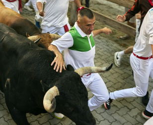 Paso de la manada de La Palmosilla por el callejón durante el primer encierro de los Sanfermines 2024