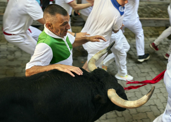 Paso de la manada de La Palmosilla por el callejón durante el primer encierro de los Sanfermines 2024