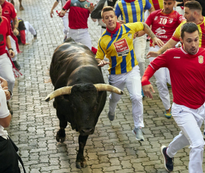 Paso de la manada de La Palmosilla por el callejón durante el primer encierro de los Sanfermines 2024