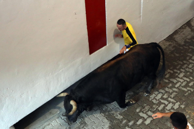 Tensión en el callejón a la plaza de toros durante el encierro de La Palmosilla