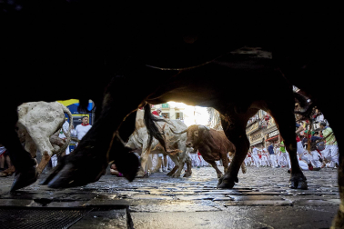 Encierro de La Palmosilla en el tramo de Estafeta