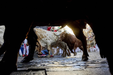 Encierro de La Palmosilla en el tramo de Estafeta