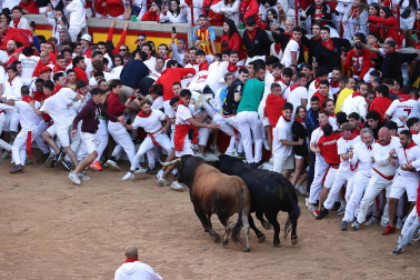 Dos toros de la ganadería La Palmosilla se pasearon durante dos minutos por la plaza de toros, creando momentos de peligro, en el prime encierro de los Sanfermines 2024