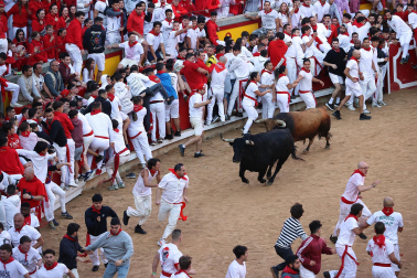 Dos toros de la ganadería La Palmosilla se pasearon durante dos minutos por la plaza de toros, creando momentos de peligro, en el prime encierro de los Sanfermines 2024