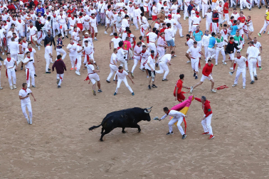 Dos toros de la ganadería La Palmosilla se pasearon durante dos minutos por la plaza de toros, creando momentos de peligro, en el prime encierro de los Sanfermines 2024