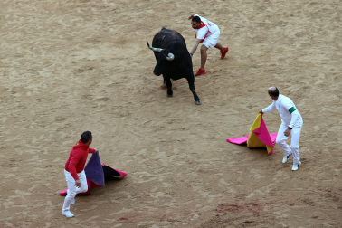 Dos toros de la ganadería La Palmosilla se pasearon durante dos minutos por la plaza de toros, creando momentos de peligro, en el prime encierro de los Sanfermines 2024