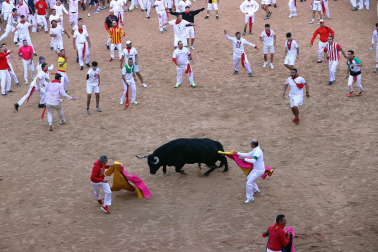 Dos toros de la ganadería La Palmosilla se pasearon durante dos minutos por la plaza de toros, creando momentos de peligro, en el prime encierro de los Sanfermines 2024