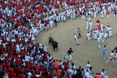 Dos toros de la ganadería La Palmosilla se pasearon durante dos minutos por la plaza de toros, creando momentos de peligro, en el prime encierro de los Sanfermines 2024